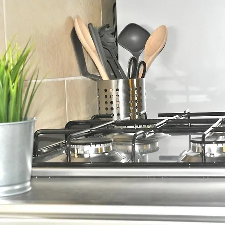 Verba Mundi * Ольбія